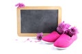 Pink kid shoes and flowers in frot of a writing blackboard with