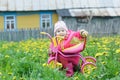 Pink kids trike with yellow wheels and little hunkering toddler girl sitting behind vehicle