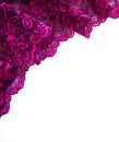 Pink lace border on white Royalty Free Stock Photo