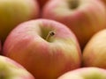 Pink Lady Apples Royalty Free Stock Photo