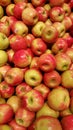 Pink Lady Apples Royalty Free Stock Photo