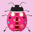 Pink lady bug on pink background. Cute bug Royalty Free Stock Photo