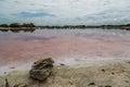 Pink lagoon of Xtampu village. The peculiar pink color is due to the high concentrations of salt and the crustacean Ã¢â¬ÅArtemia