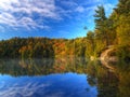 Pink lake on an autumn morning