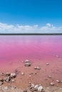 Scenic view of Pink Lake Hutt Lagoon at Port Gregory, Western Australia. Royalty Free Stock Photo