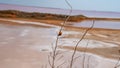 Pink lake made of salt, landscape sea salt, created from microscopic unicellular algae secretes betacaratin minerals