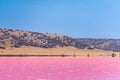 Pink lake next to Gregory in Western Australia in front of desert