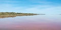 Pink Lake Reflections Royalty Free Stock Photo