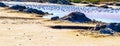 pink lake in spain, unusual phenomenon, mineral influence on water