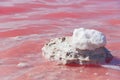 Pink Lake, Western Australia