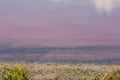 Pink lake in western Australia Royalty Free Stock Photo