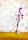 Pink lavender in bottle glass on the table