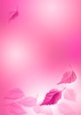 Pink_leaf_background