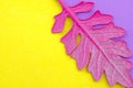 Pink leaf on colorful paper background. Fashion minimal pop art style.