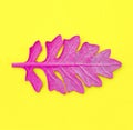 Pink leaf on yellow paper background. Fashion minimal pop art style.