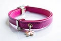 Pink leather dog collar with silver hardware and flower charm Royalty Free Stock Photo