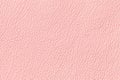 Pink leather texture background with pattern, closeup