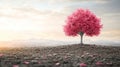 Pink-Leaved Tree Standing Alone on a Hilltop Royalty Free Stock Photo