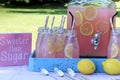 Pink Lemonade at Picnic in Park Royalty Free Stock Photo