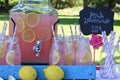 Pink Lemonade at Picnic in Park Royalty Free Stock Photo