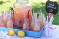 Pink Lemonade at Picnic in Park Royalty Free Stock Photo