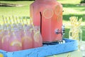 Pink Lemonade at Picnic in Park Royalty Free Stock Photo
