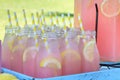 Pink Lemonade at Picnic in Park Royalty Free Stock Photo