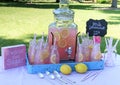 Pink Lemonade at Picnic in Park Royalty Free Stock Photo