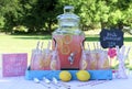 Pink Lemonade at Picnic in Park Royalty Free Stock Photo