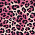 pink leopard fur pattern texture background. Royalty Free Stock Photo