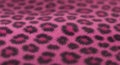 Pink Leopard Print Pattern Texture Close-up Royalty Free Stock Photo