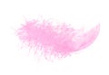 Pink light fluffy feather isolated on white background. Trendy color and minimal style. Royalty Free Stock Photo