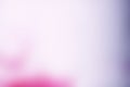 The pink and lilac abstract background is unfocused. Fuzziness. Royalty Free Stock Photo