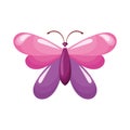 pink and lilac butterfly insect