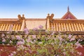 Pink lilac flower blossoms Syringa vulgaris in Forbidden City with blue sky Royalty Free Stock Photo