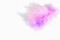 Pink lilac fluff feather isolated on white background close-up. Fluffy pink fluff Royalty Free Stock Photo