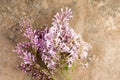 Pink Lilac Vintage Background Royalty Free Stock Photo