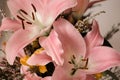 Pink lilies bouquet.