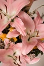 Pink lilies bouquet.