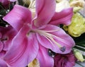 Pink lilies, yellow and green roses.