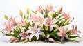 Pink Lily Field: Photorealistic Renderings Of Detailed Blooming Flowers