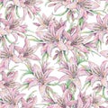 Pink lily flowers isolated on white background. Watercolor handwork illustration. Draw of blooming lily. Seamless pattern