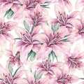Pink lily flowers isolated on white background. Watercolor handwork illustration