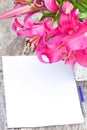 Pink lily Robina flowers bouquet and blank paper sheet with pen