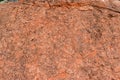 Pink limestone called Caliza del DanÃÂ©s. Paleocene. 63 Mya Royalty Free Stock Photo