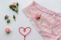 Pink lingerie panty. Fashion cloth, lingerie. Concept of love