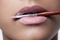 Pink Lips and Make-up Brush