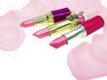 Pink lipsticks among rose petals Royalty Free Stock Photo
