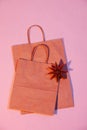 Pink lit two flat paper bags with rope handles and origami star.