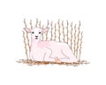 Pink little lamb lies on the branches of a willow. Hand drawing of an animal. Illustration in pastel shades